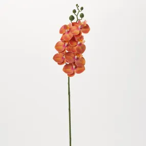 Blooming Orange Phalaenopsis Orchid Single Long Stem Tropical Faux Floral Spray - 25"