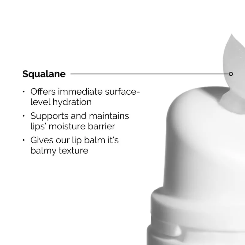 The Ordinary Squalane   Amino Acids Lip Balm